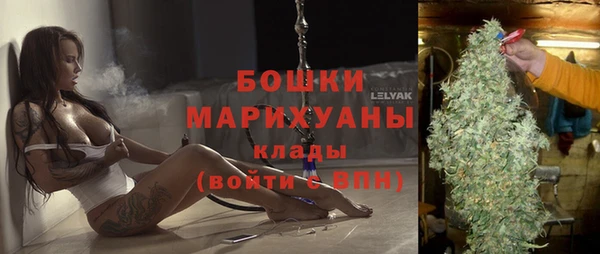 индика Белокуриха