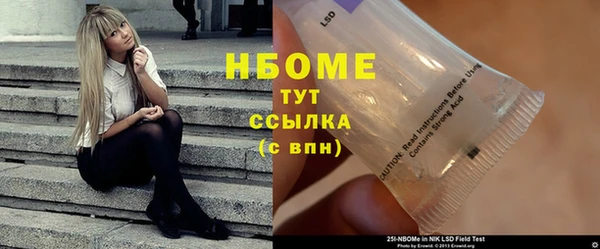 индика Белокуриха