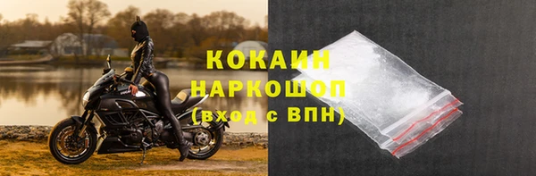 индика Белокуриха