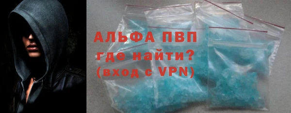 индика Белокуриха