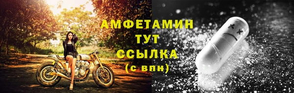 индика Белокуриха