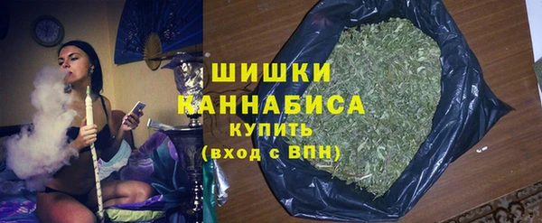 индика Белокуриха