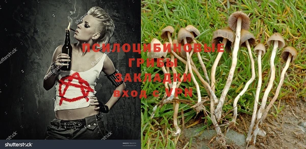 ешки Белоозёрский