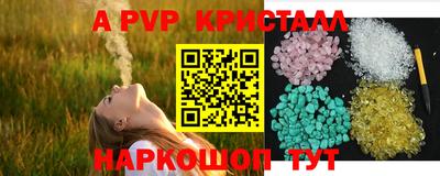 стаф Моздок