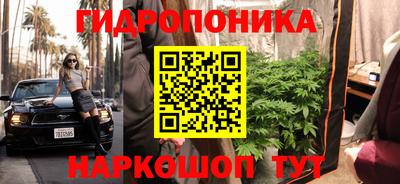 шишки Можайск