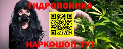 шишки Можайск