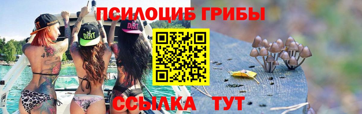Псилоцибиновые грибы прущие грибы  Вход с VPN  Гулькевичи  Галлюциногенные грибы MAGIC MUSHROOMS 